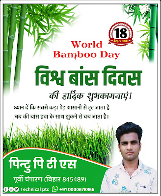 विश्व बांस दिवस पोस्टर बनाये, world bamboo Day poster|Vishva bans Divas poster Kaise banaen| world bamboo day Poster| world bamboo day banner editing